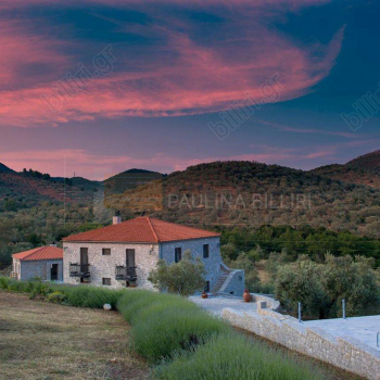 Πανοραμική όψη - Panoramic view
